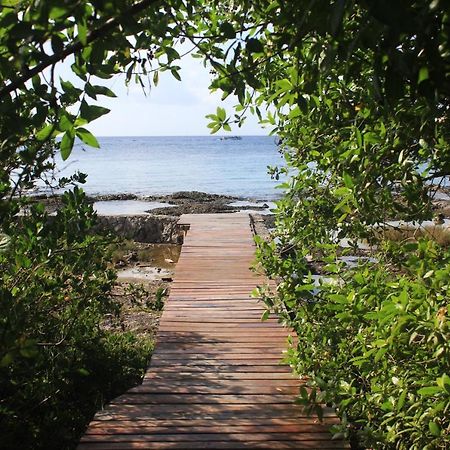 Confortable Casa En Cozumel, Condominio Con Vista Al Mar # 10 Exteriér fotografie
